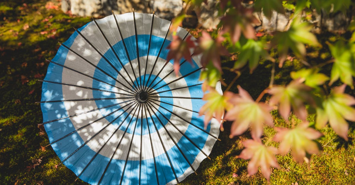 Does the chinese 72-hour transit visa allow to cross a land border? - Colorful Japanize umbrella on grassy meadow near tree and foliage Does the chinese 72-hour transit visa allow to cross a land border? - Colorful Japanize umbrella on grassy meadow near tree and foliage