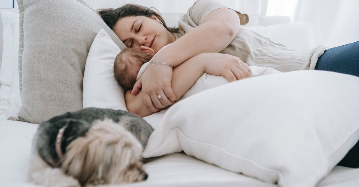 Does the pet bedding (inside the crate) often get destroyed on arrival in the USA? [closed] - Caring female embracing newborn baby embracing newborn baby while sleeping together on comfortable bed with pillows and morkie dog in bedroom