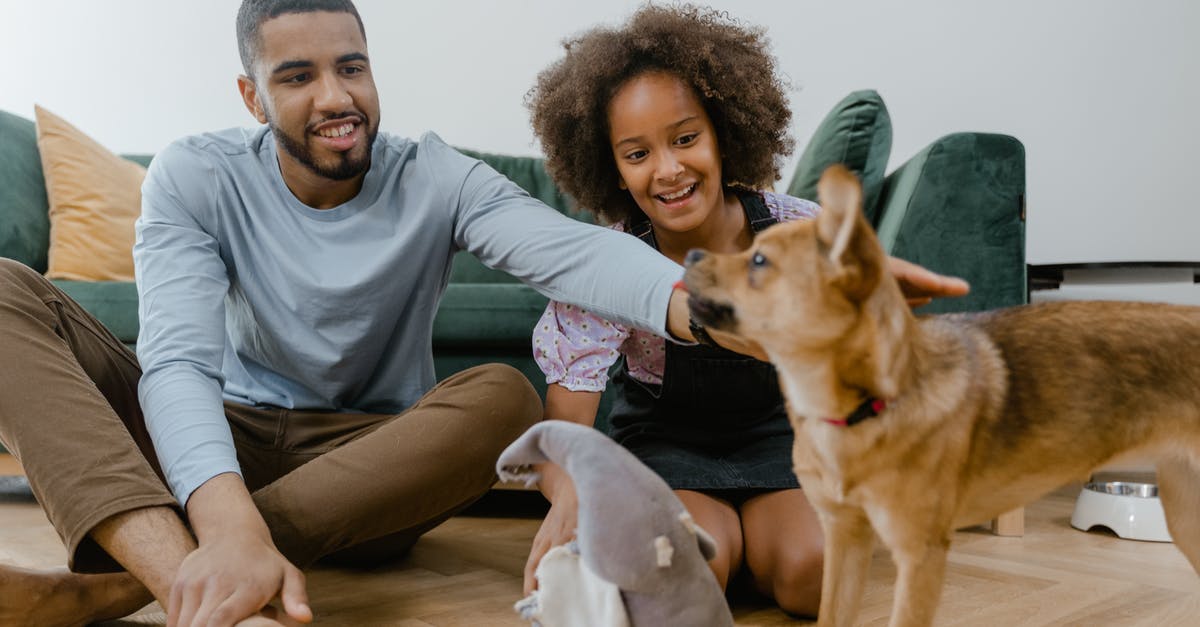 Domestic flights for foreigner in Colombia - Man in Gray Crew Neck Shirt Holding Brown Short Coated Dog Domestic flights for foreigner in Colombia - Man in Gray Crew Neck Shirt Holding Brown Short Coated Dog