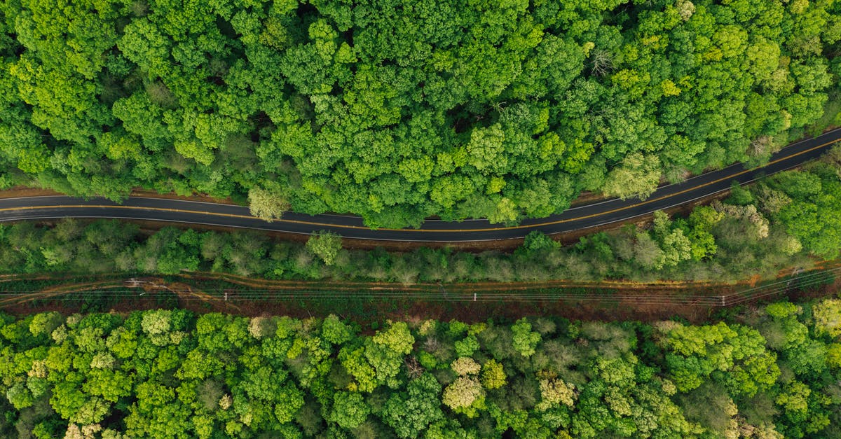 Drive through Gatwick "dropoff" by mistake - Narrow asphalt roadway amidst lush forest Drive through Gatwick "dropoff" by mistake - Narrow asphalt roadway amidst lush forest