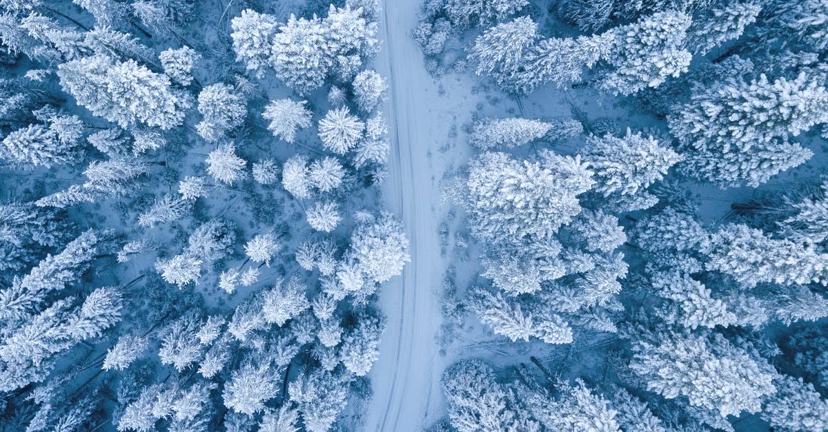 Driving from Denver to DC in December [closed] - Aerial Photography of Snow Covered Trees