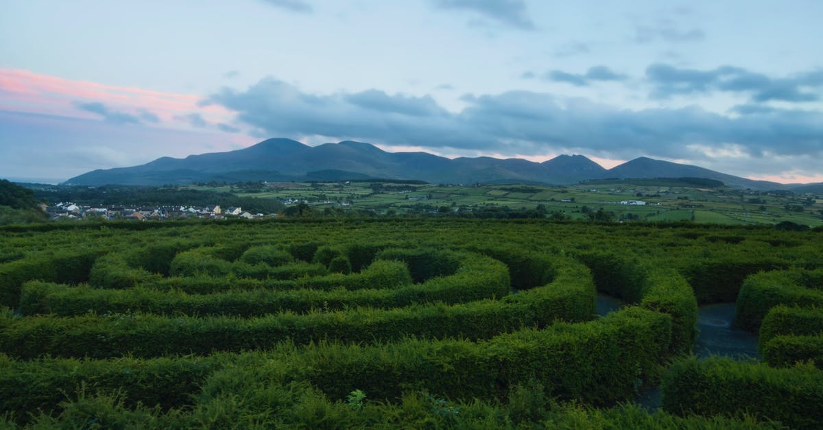 Driving in Ireland and Northern Ireland - Spiral Green Plants Driving in Ireland and Northern Ireland - Spiral Green Plants