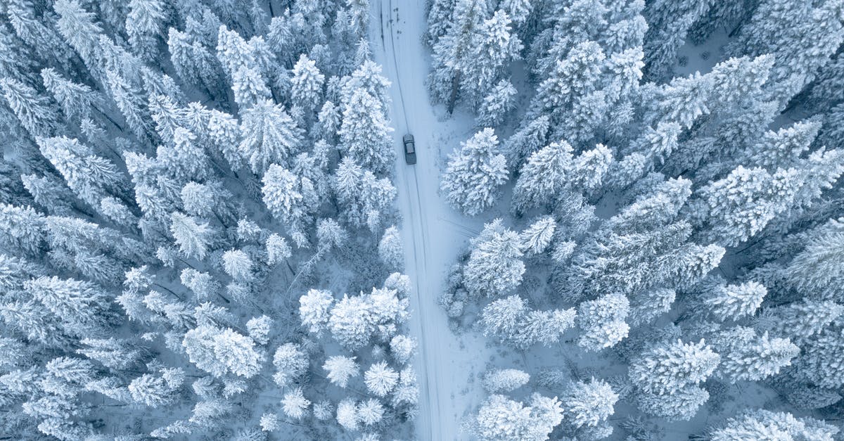 Driving in the winter (Dec-Jan) from Ohio to California - Aerial Photography of Pine Trees Covered With Snow Driving in the winter (Dec-Jan) from Ohio to California - Aerial Photography of Pine Trees Covered With Snow