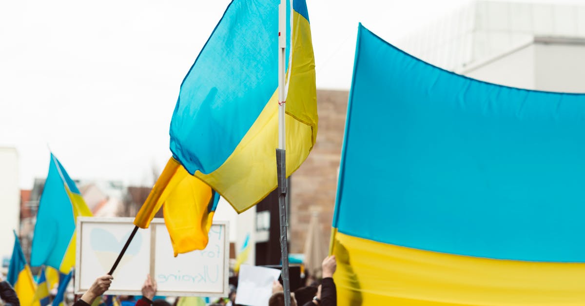 Dual Citizen, leaving US to Travel to EU on EU passport - People Gathering on a Street With Flags