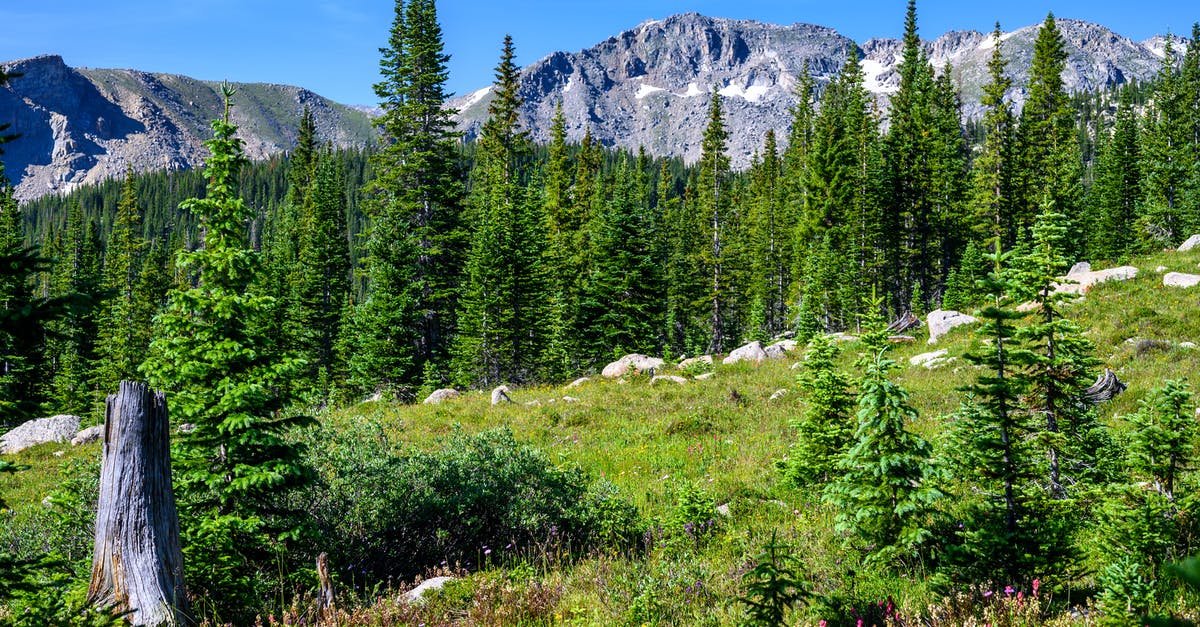 Duration of stay in Schengen area is shorter than tour - what to do? - Green Pine Trees on Mountain Area Duration of stay in Schengen area is shorter than tour - what to do? - Green Pine Trees on Mountain Area