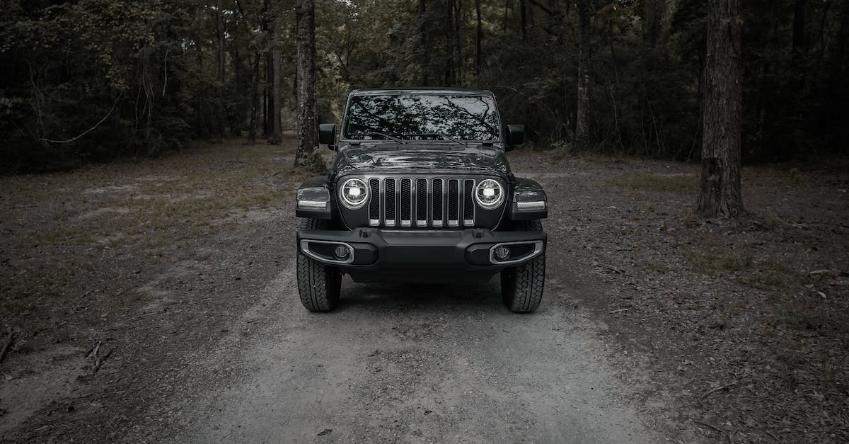 Dushanbe to Bishkek overland - options? - Black Jeep Wrangler on Dirt Road Surrounded by Trees Dushanbe to Bishkek overland - options? - Black Jeep Wrangler on Dirt Road Surrounded by Trees