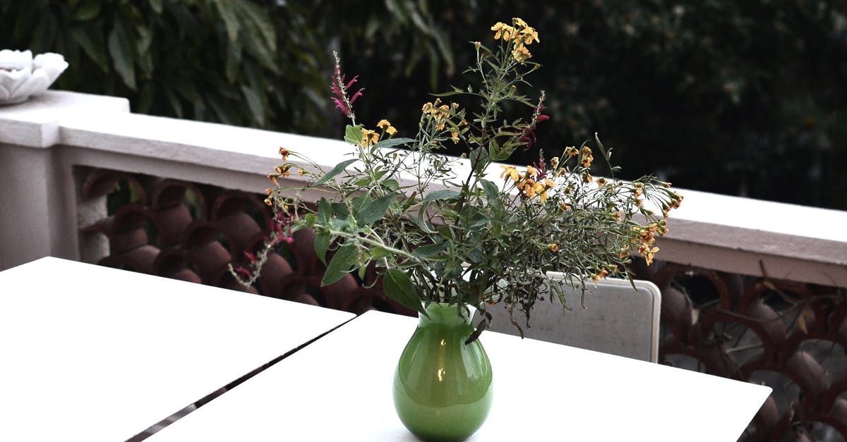 Dutch visa was annulled on entering France - Flower Vase on a White Table Dutch visa was annulled on entering France - Flower Vase on a White Table