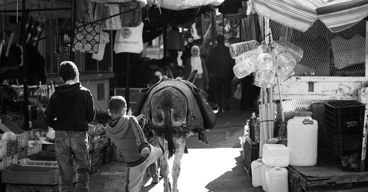 EC 261 refund: marketing vs operating carrier - A Child Kicking a Donkey EC 261 refund: marketing vs operating carrier - A Child Kicking a Donkey