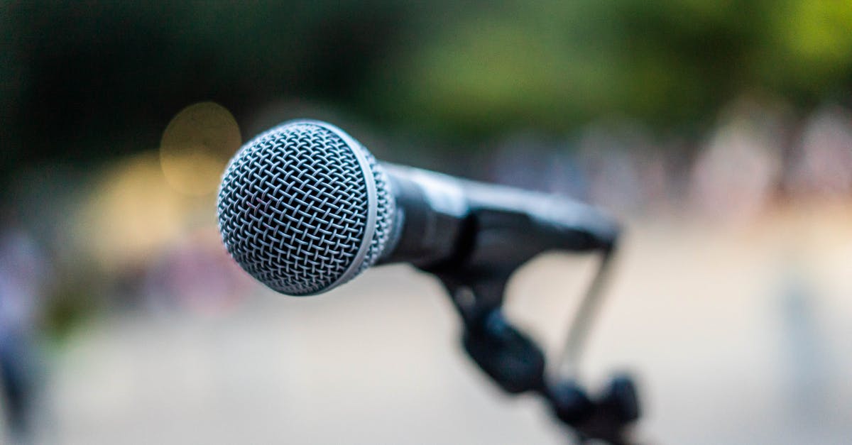 Electronic authorization for US passport holder born in Russia - Modern microphone during event in park Electronic authorization for US passport holder born in Russia - Modern microphone during event in park