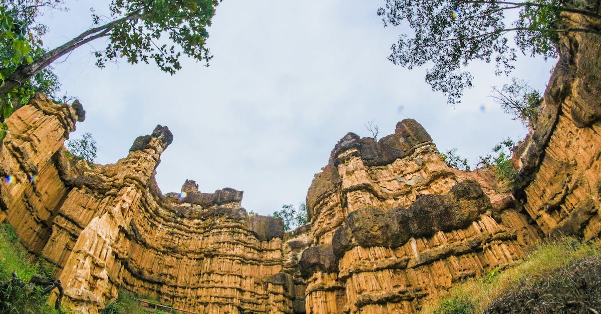 Elephant Trekking in northern Thailand - Low Angle View of Brown Ruins Near Green Leaf Trees Elephant Trekking in northern Thailand - Low Angle View of Brown Ruins Near Green Leaf Trees