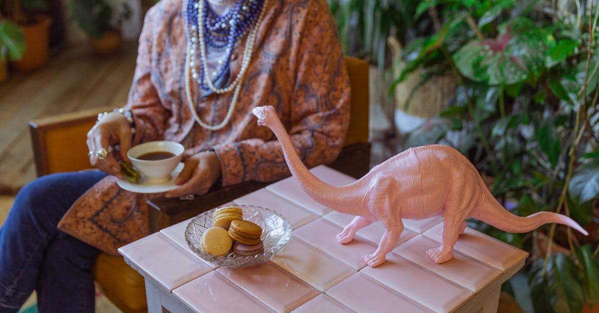 ESTA Elegible after Qatar? - Photo of Pink Dinosaur Miniature on Top of Table ESTA Elegible after Qatar? - Photo of Pink Dinosaur Miniature on Top of Table
