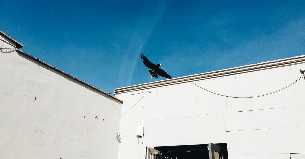 ESTA expires the day after I fly to the US. Is this OK? - From below exterior of white shabby building walls with glass door under blue cloudless sky with flying black bird in sunny day