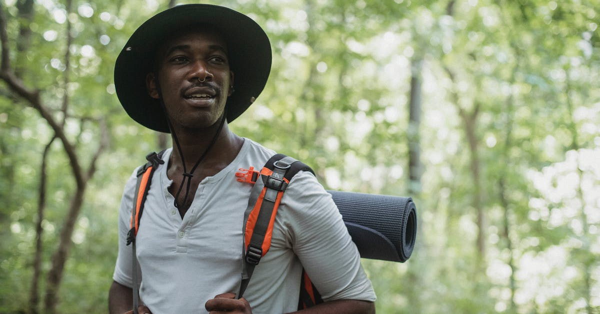 ESTA return, does the “clock” reset when travelling across Panama - Cuba? [duplicate] - Dreamy black male traveler with backpack in woods