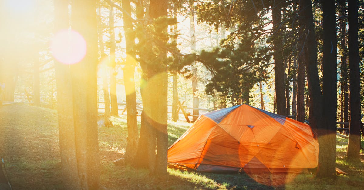 Everest Base Camp Hiking - Photo of Tent in Forest Everest Base Camp Hiking - Photo of Tent in Forest