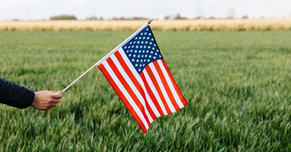 Extension of visa during UK visit for Indian Passport holder having US green card, residing in US - Crop unrecognizable person holding colorful flag of America with stars and stripes on lush green lawn under cloudy sky in daylight