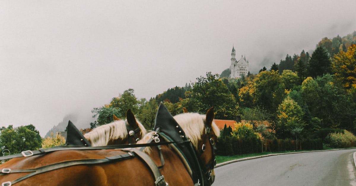 Fairmont Banff Springs vs Fairmont Chateau Lake Louise [closed] - Brown Horse on Road