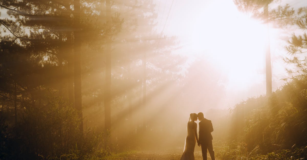 Filipino partner applying for Schengen visa while processing marriage annulment - Back view of anonymous bride and groom holding hands while standing in woods near trees against bright sun beams in nature Filipino partner applying for Schengen visa while processing marriage annulment - Back view of anonymous bride and groom holding hands while standing in woods near trees against bright sun beams in nature