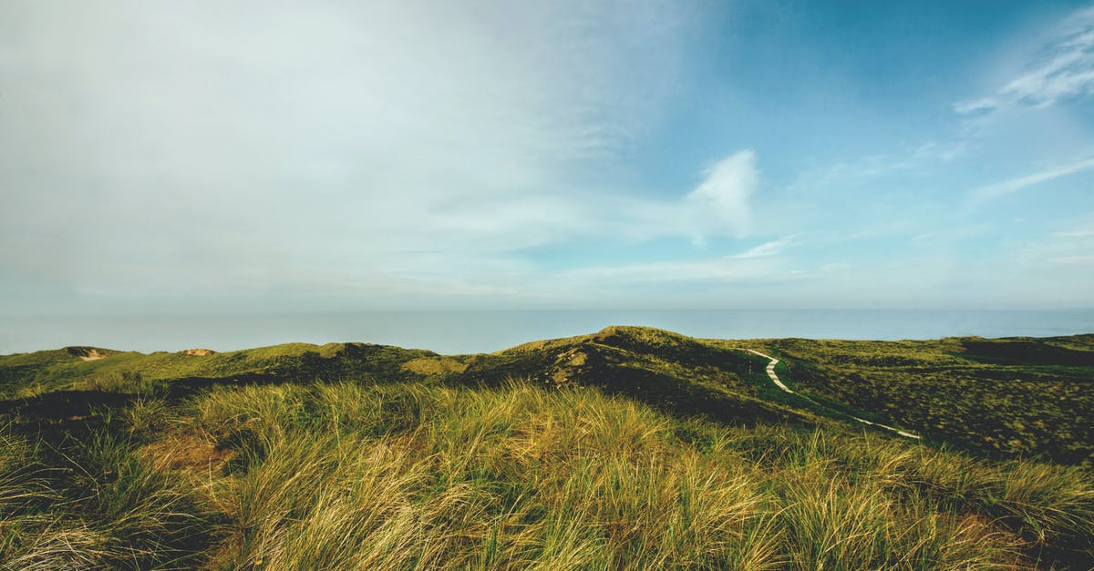 Finding a list of agriculture unique to Catalina Island [closed] - Landscape Photography of Mountain