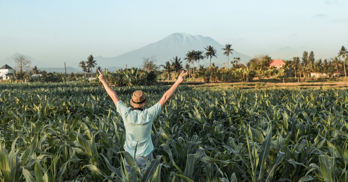 Finding a list of agriculture unique to Catalina Island [closed] - Man Standing at Middle of Cornfield