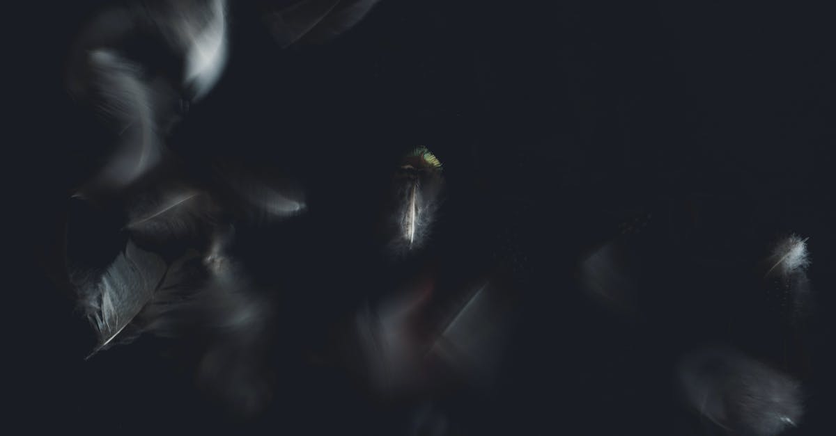 finding flights with flexible origination points [duplicate] - From above of similar wavy feathers with delicate texture on pointed sticks and haze effect on black surface in twilight