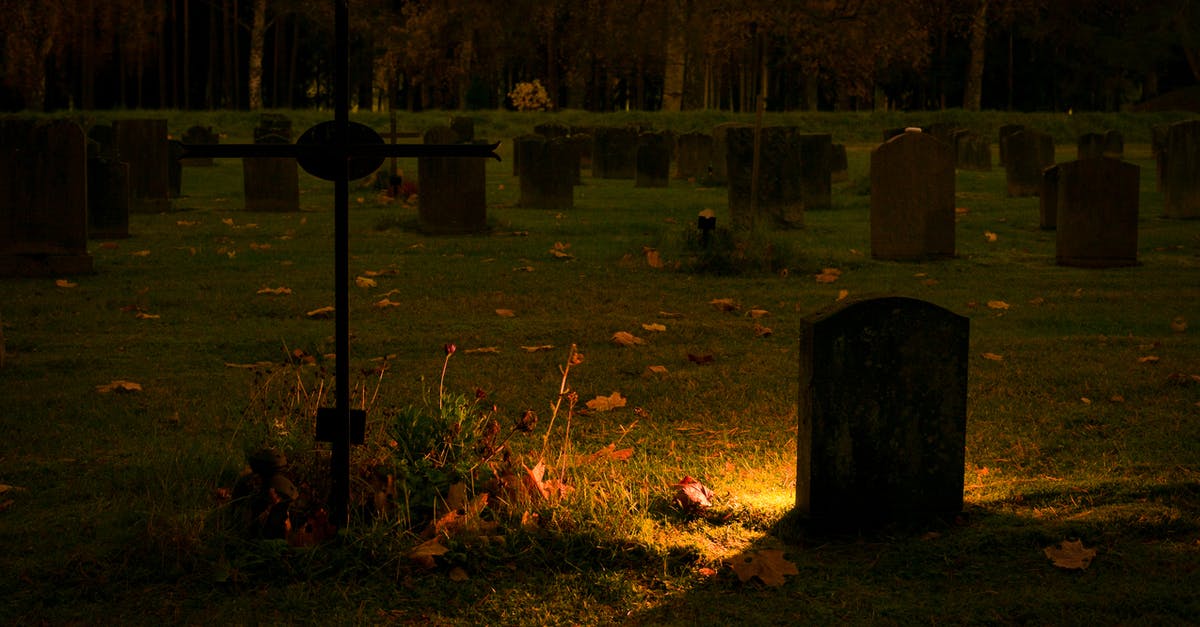 Finding the grave of Lin Zhao - Silhouette of Graves Finding the grave of Lin Zhao - Silhouette of Graves