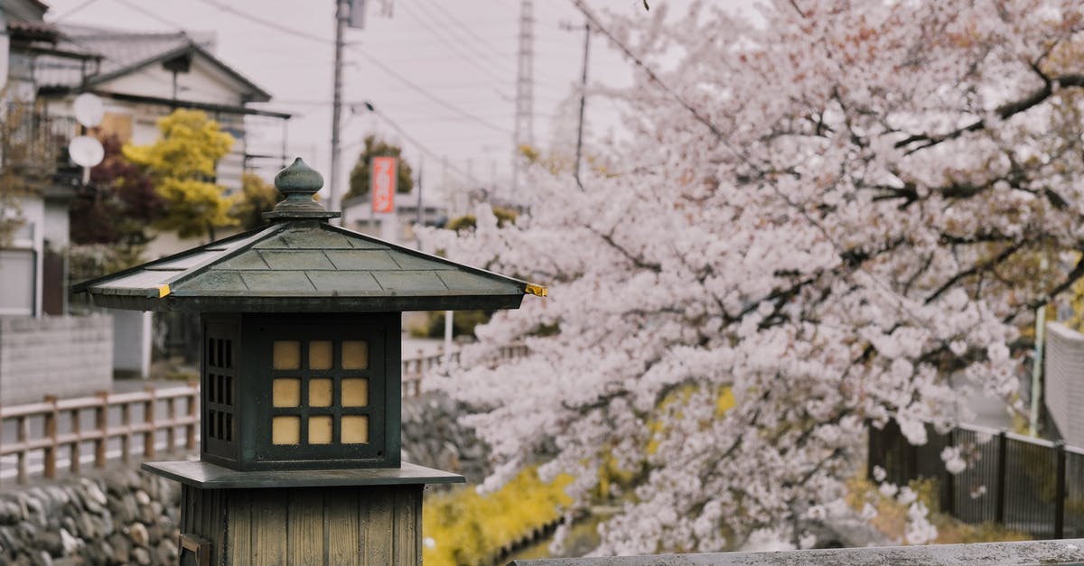Flower lei from California to Japan - Wooden Lamp Post Near Cherry Blossom