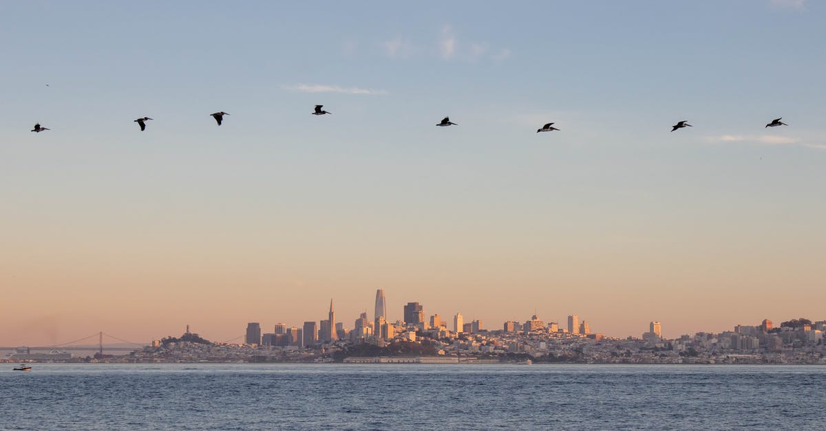 Flying from California to Texas: do I need ESTA? - Birds Flying over the City during Sunset Flying from California to Texas: do I need ESTA? - Birds Flying over the City during Sunset
