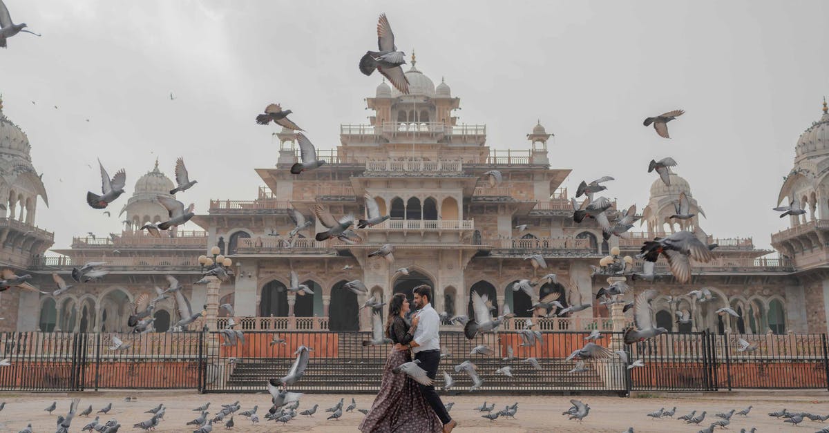 Flying from KL, Malaysia to Lucknow, India with layover in Singapore [duplicate] - A Couple Standing in Front of Albert Hall Museum while Surrounded with Birds Flying