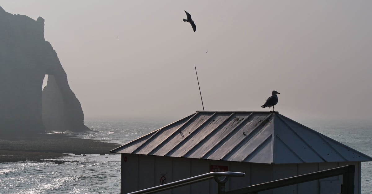 Flying into Germany with a Luxembourg Type D Visa [duplicate] - seagull in the english channel fog