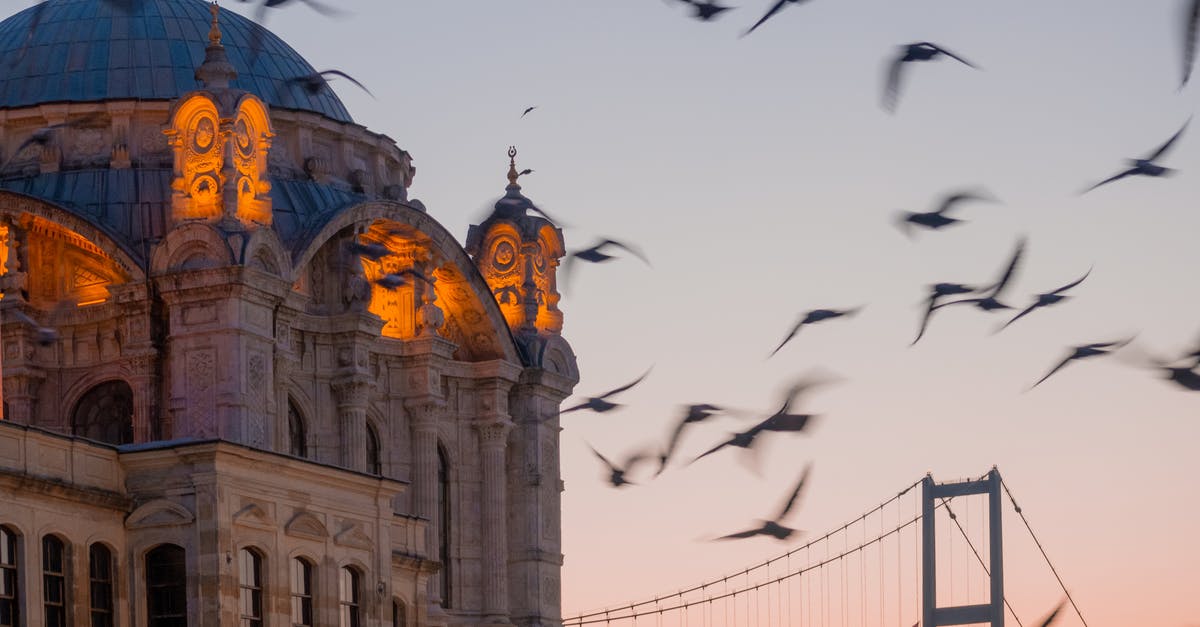 Flying through Istanbul with ID and not Passport - A Flock of Birds Flying Near the Mosque Flying through Istanbul with ID and not Passport - A Flock of Birds Flying Near the Mosque