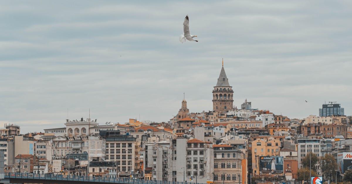 Flying through Istanbul with ID and not Passport - Building in the City Near Body of Water Flying through Istanbul with ID and not Passport - Building in the City Near Body of Water