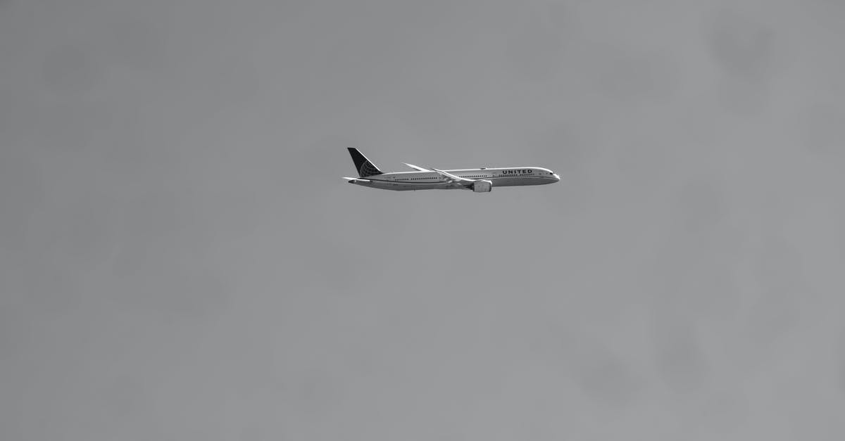 Flying to Puerto Rico with US Permanent residency pending - Black and White Photo of a Flying Airplane Flying to Puerto Rico with US Permanent residency pending - Black and White Photo of a Flying Airplane