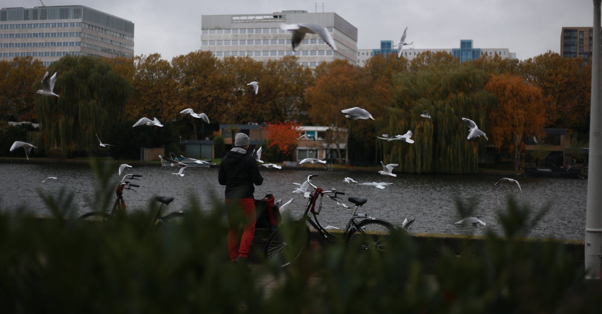 Flying with a bicycle with Swiss/Austrian/Brussels airlines - Birds Flying Around a Person Flying with a bicycle with Swiss/Austrian/Brussels airlines - Birds Flying Around a Person