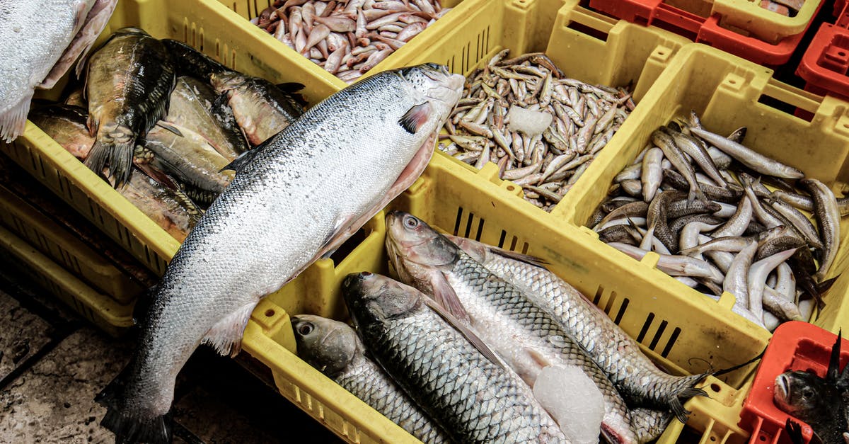 Food prices in Chile - particularly seafood - Gray and Black Fish on Brown Wooden Crate Food prices in Chile - particularly seafood - Gray and Black Fish on Brown Wooden Crate