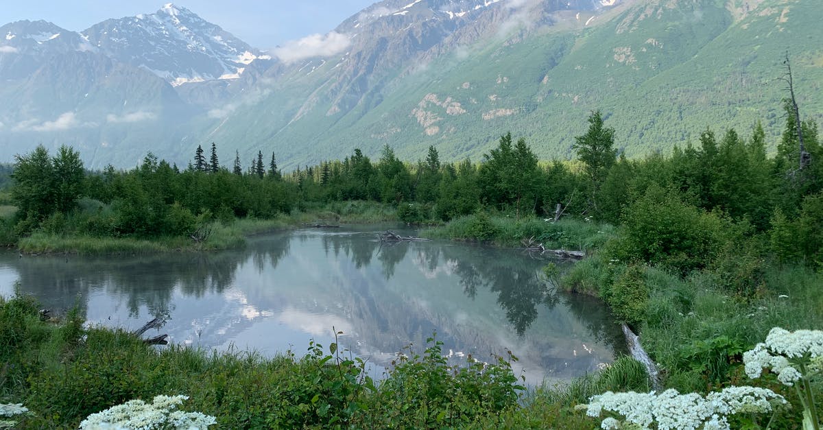 Forgot passport for Alaska cruise (Anchorage to Vancouver) - Green Trees Near Lake Forgot passport for Alaska cruise (Anchorage to Vancouver) - Green Trees Near Lake