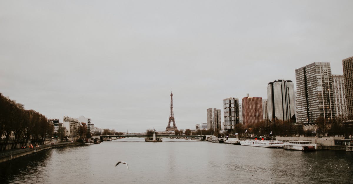 France to Doha without flying - Gray Bird Above Body of Water France to Doha without flying - Gray Bird Above Body of Water