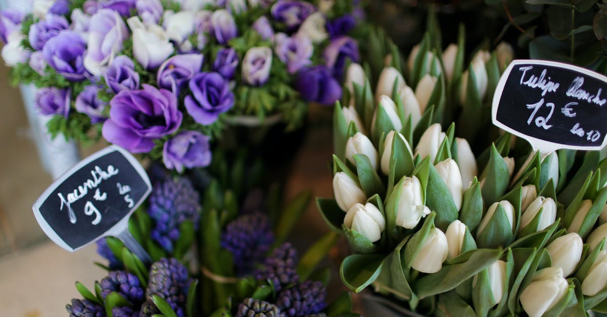 French bookshops in Paris - Spring flowers in flower shop French bookshops in Paris - Spring flowers in flower shop