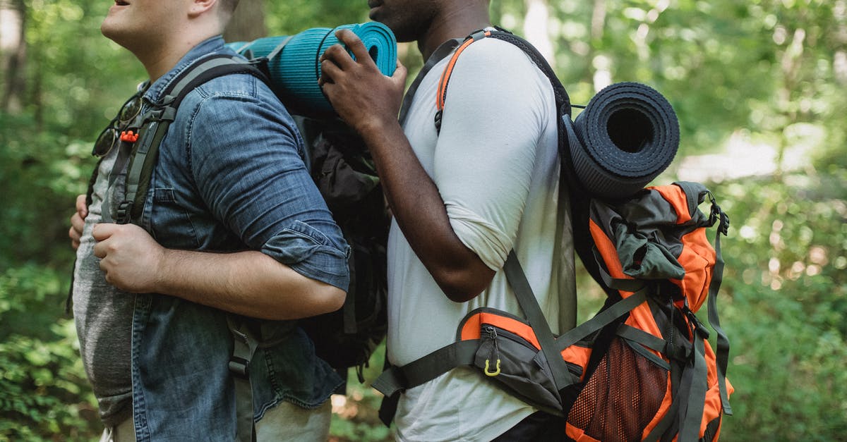 Friend needs help with a tourist visa to come into Canada - Side view of African American male backpacker helping friend while travelling through green woods