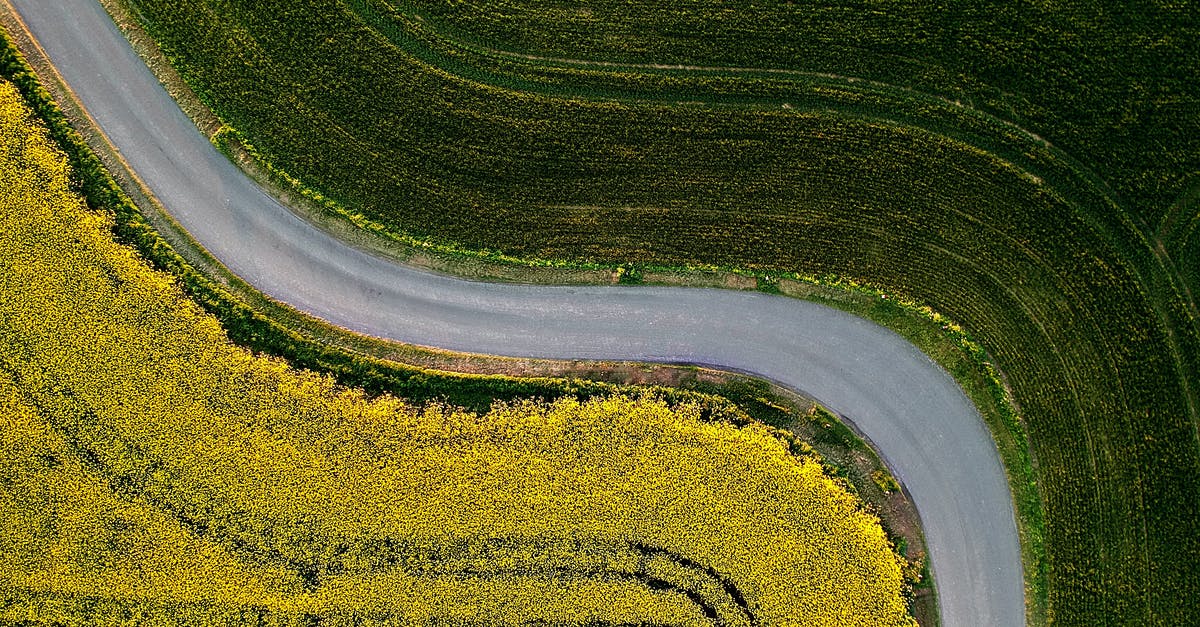 From what point could you view the most countries? - Aerial Photography of Country Road Between Green Grass Field From what point could you view the most countries? - Aerial Photography of Country Road Between Green Grass Field
