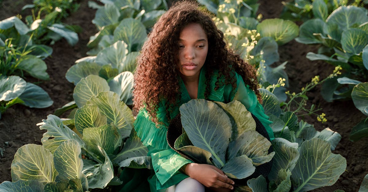 Full name too long for USA passport application. What to do? - Woman Sitting on Ground and Embracing Brown Hat Full of Cabbage Leaves Full name too long for USA passport application. What to do? - Woman Sitting on Ground and Embracing Brown Hat Full of Cabbage Leaves