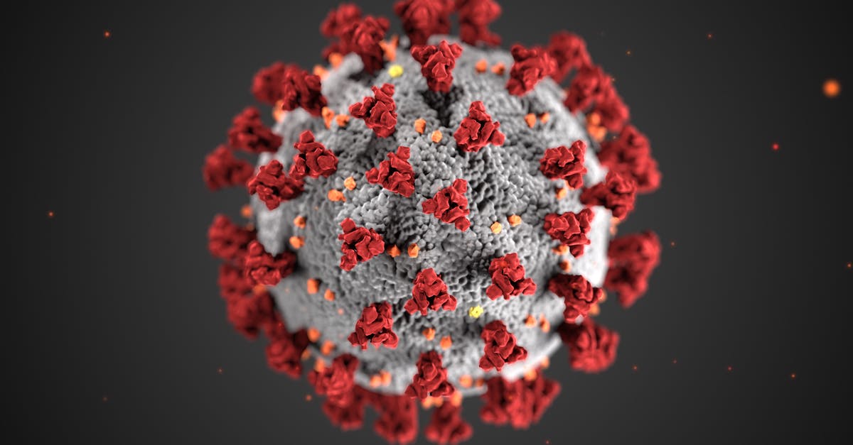 General grounds for refusal - False representation - Structure of a Coronavirus General grounds for refusal - False representation - Structure of a Coronavirus