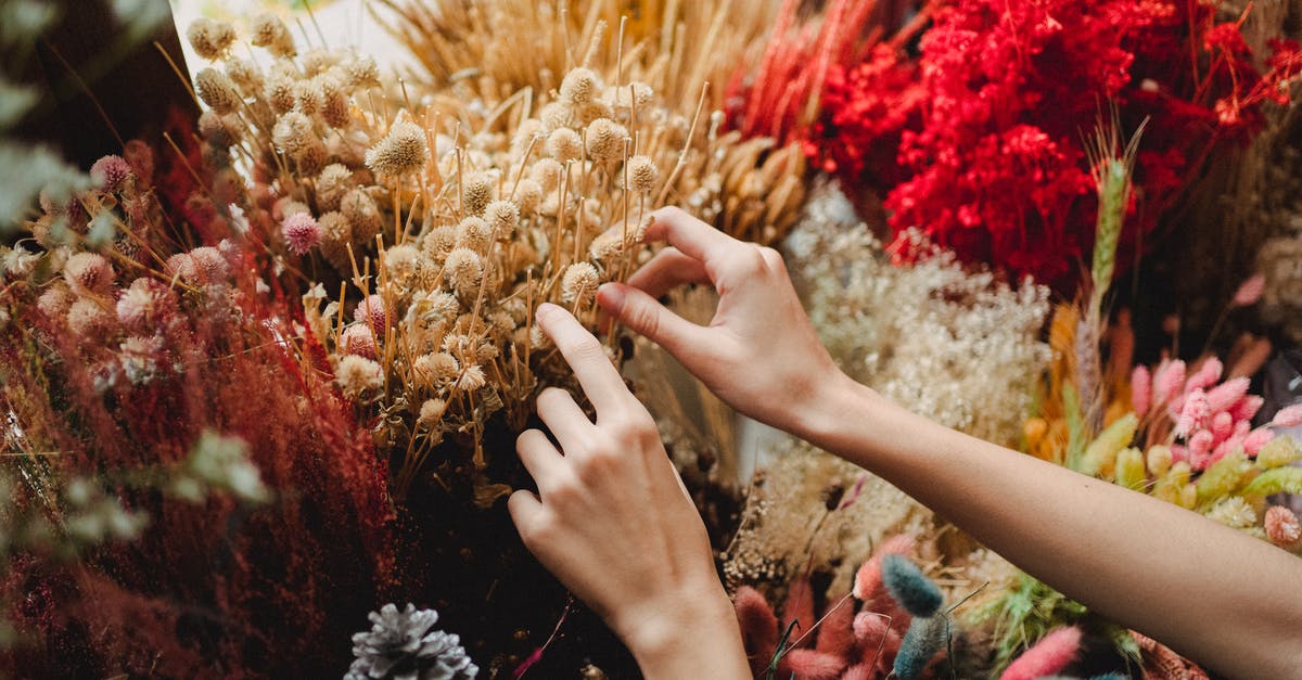 Going from Sweden to the US with a London layover, can I take a bouquet of roses? - Crop faceless woman picking flowers from assorted bouquet decorative elements Going from Sweden to the US with a London layover, can I take a bouquet of roses? - Crop faceless woman picking flowers from assorted bouquet decorative elements