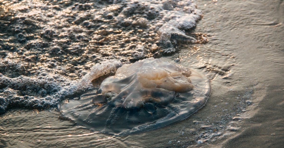 Good places to visit Dead Sea on the Israeli side - Brown Sand