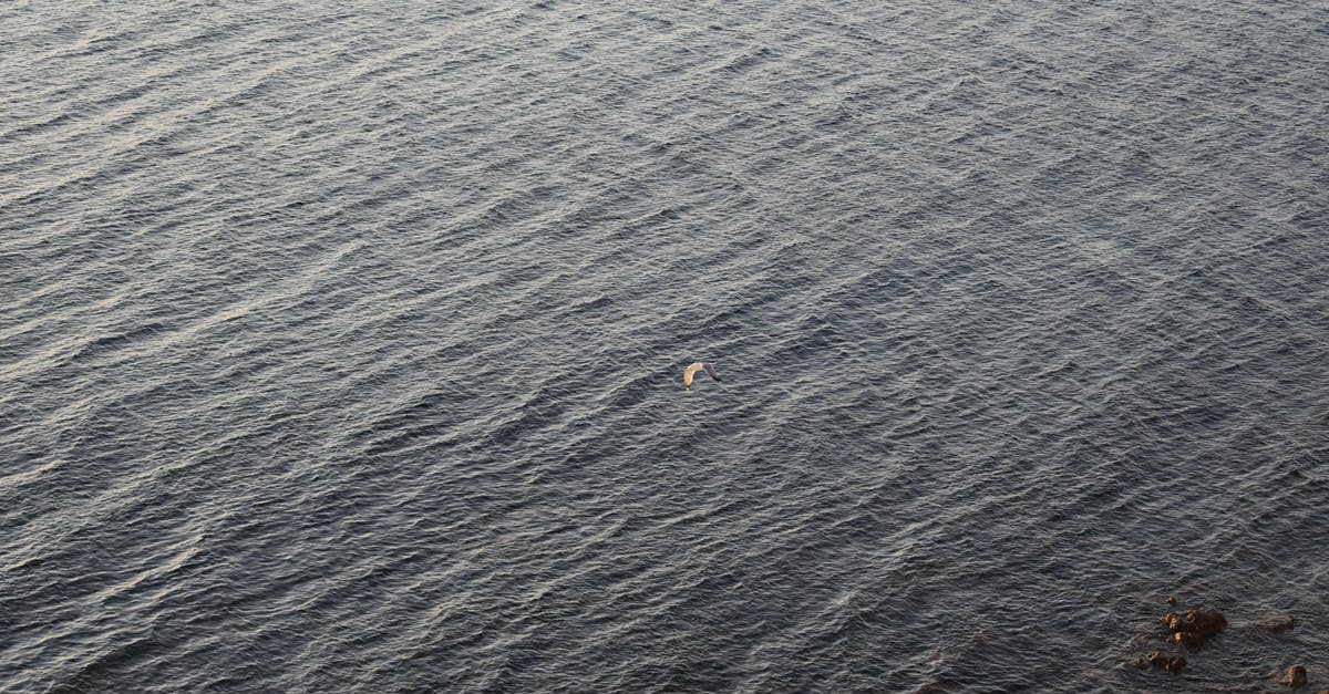GPS when flying over the ocean - A Bird Flying over the Sea GPS when flying over the ocean - A Bird Flying over the Sea