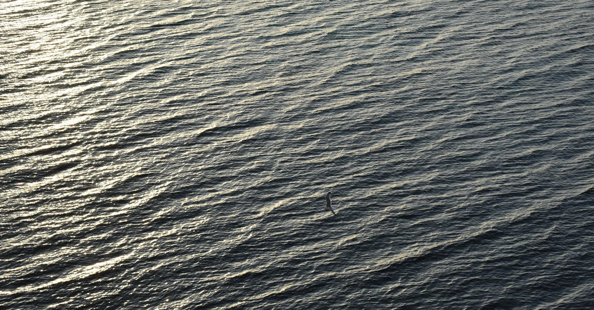 GPS when flying over the ocean - A Bird Flying over the Sea GPS when flying over the ocean - A Bird Flying over the Sea
