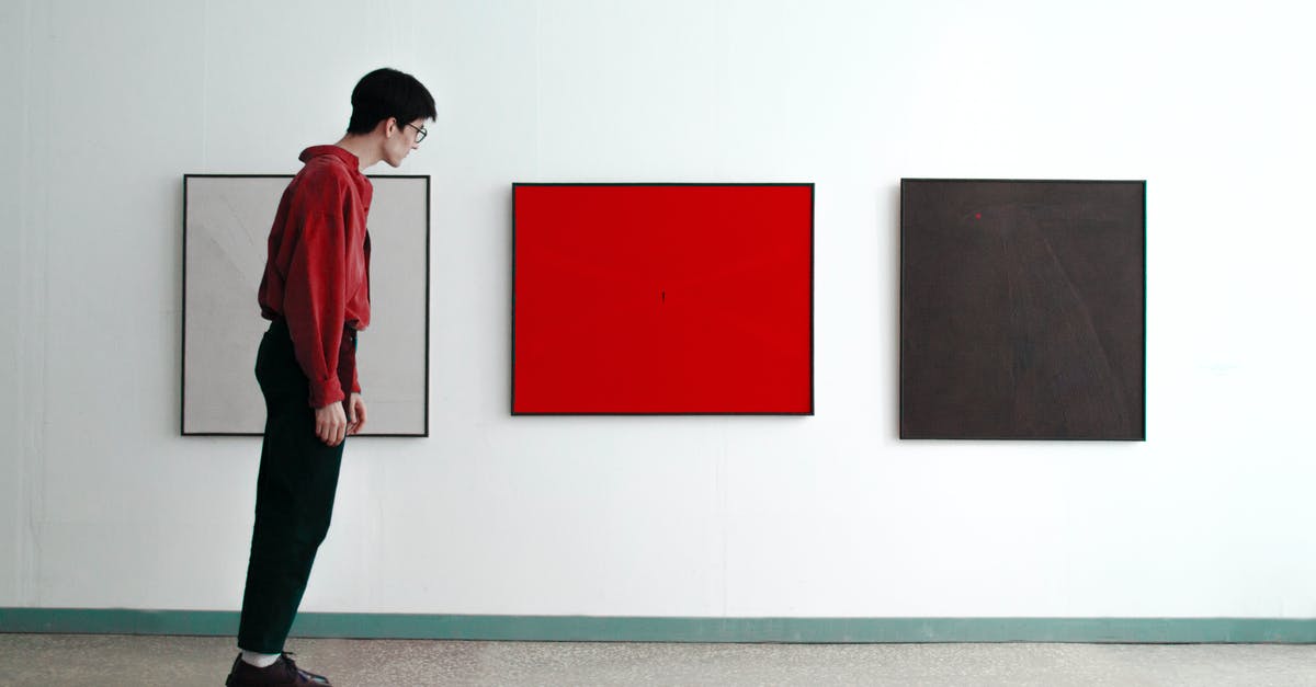 Granted a Schengen visa with really short duration - Man Standing Tilted and Looking at Modern Art Pictures Granted a Schengen visa with really short duration - Man Standing Tilted and Looking at Modern Art Pictures