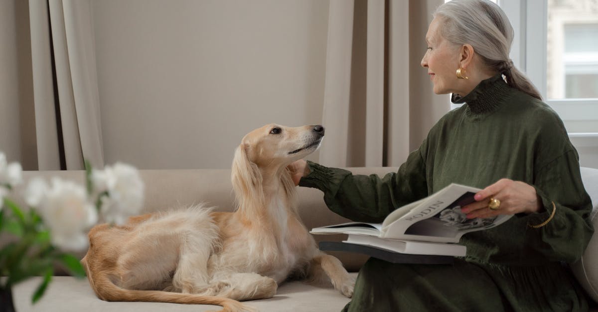 Greyhound bus ticket (print at home) - Senior Lady Talking to Her Dog Laying on Sofa Greyhound bus ticket (print at home) - Senior Lady Talking to Her Dog Laying on Sofa