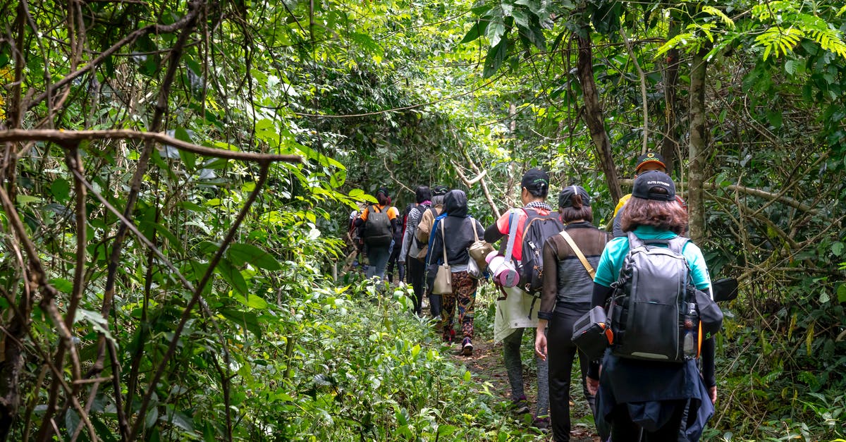 Group jungle trek in Chiang Mai - Back view of unrecognizable backpackers strolling on pathway between lush greenery in tropical woods Group jungle trek in Chiang Mai - Back view of unrecognizable backpackers strolling on pathway between lush greenery in tropical woods