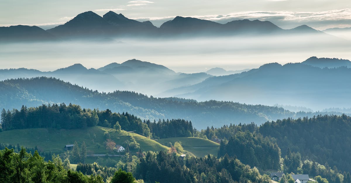 Guidebook helping to choose travel destination - Mountainous valley with evergreen forest against misty sky