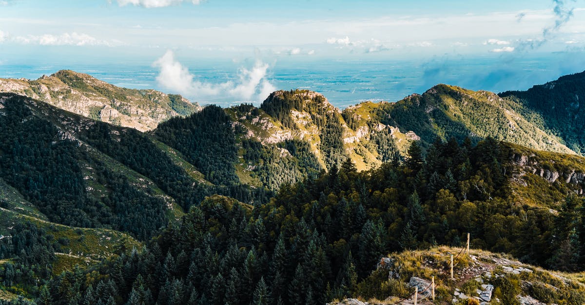 Has anyone had experience with Air China overnight layover at Shanghai? - Green Trees Has anyone had experience with Air China overnight layover at Shanghai? - Green Trees